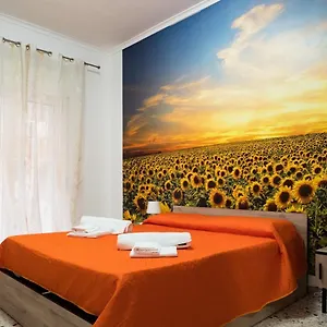 Davulia Comfort , Catania Italia